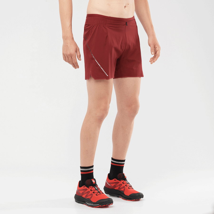 Men's Shorts Sense Aero 5'' Cabernet