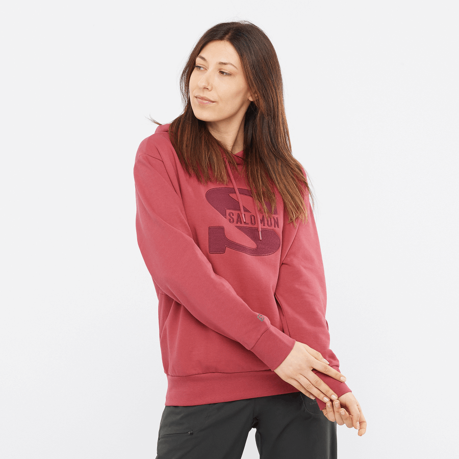 Women's Hooded Pullover Outlife Logo Summer Earth Red